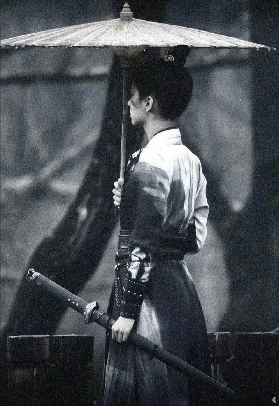禾晏的人生起起落落，可她始终没被打倒。再次披上战甲，她就是战场上最耀眼的星。她用