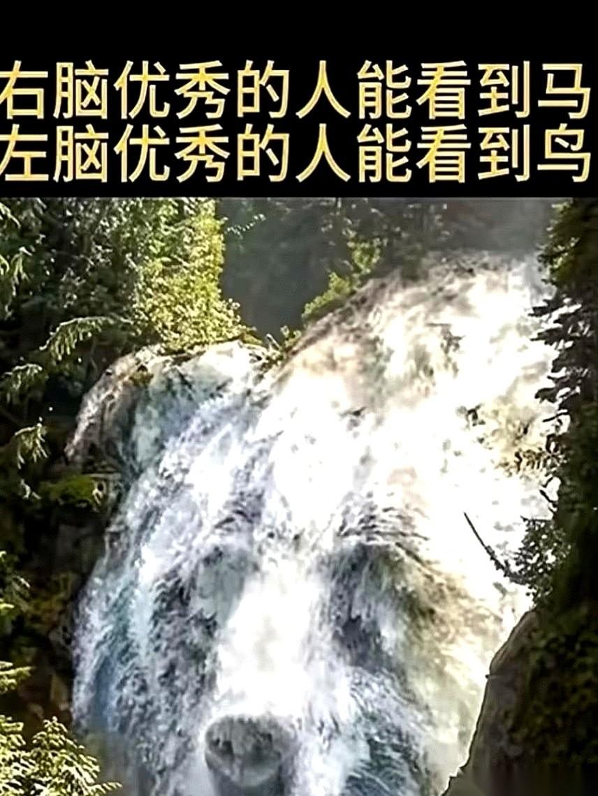 盯着这张图看了半天，我突然笑了。
什么左脑右脑，什么学霸还是艺术家，说白了不就是