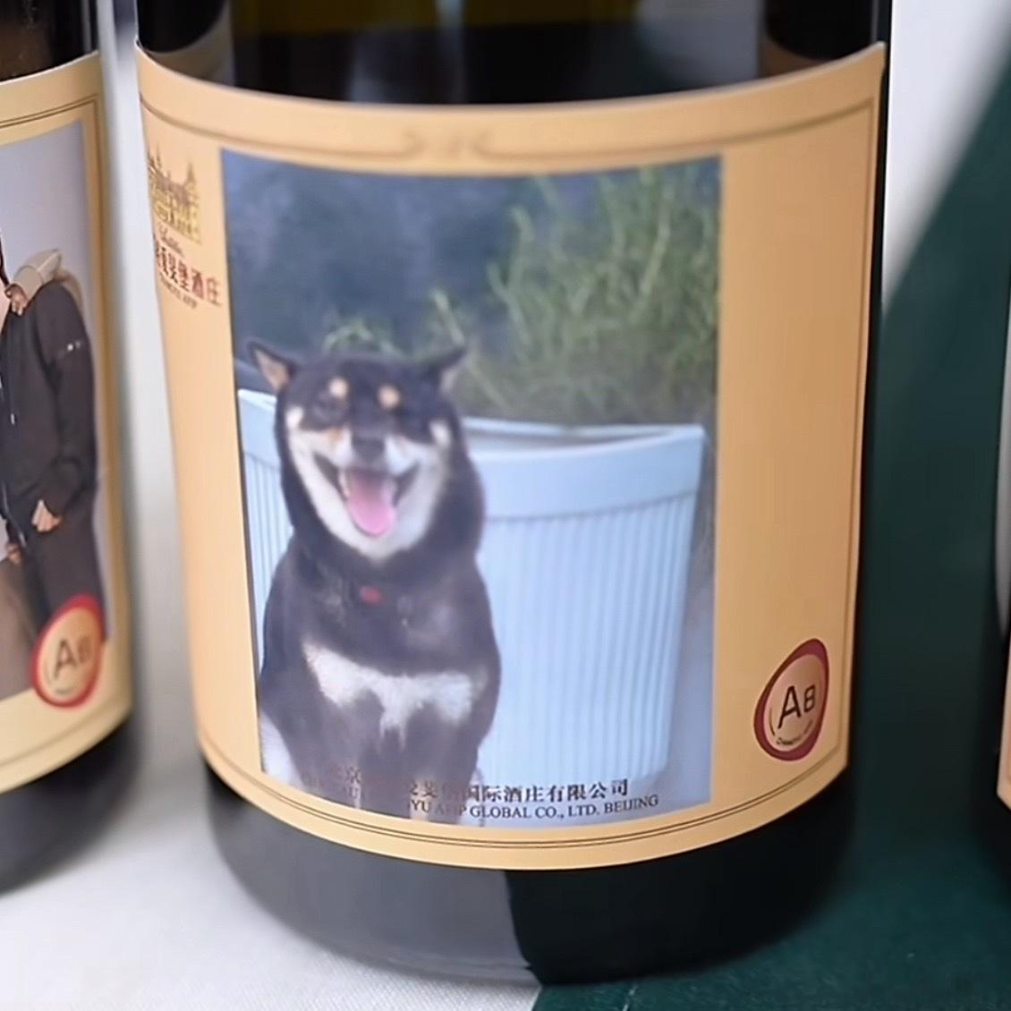真·牌子狗 