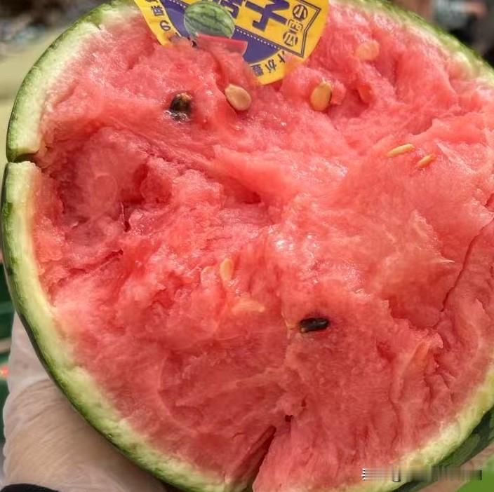今年春天最想实现的心愿吃春菜水果，不生病。