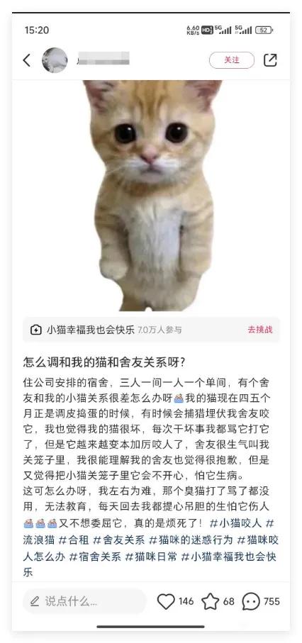 网友：猫猫得了猫瘟，喜欢咬人，我要不要把它关在笼子里？
无孩爱猫女的含金量还在上