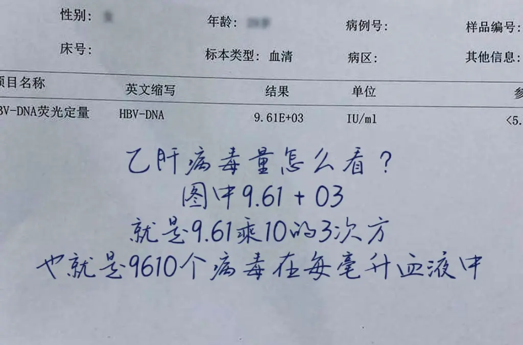 乙肝病毒量怎么算，数字代表什么意思？