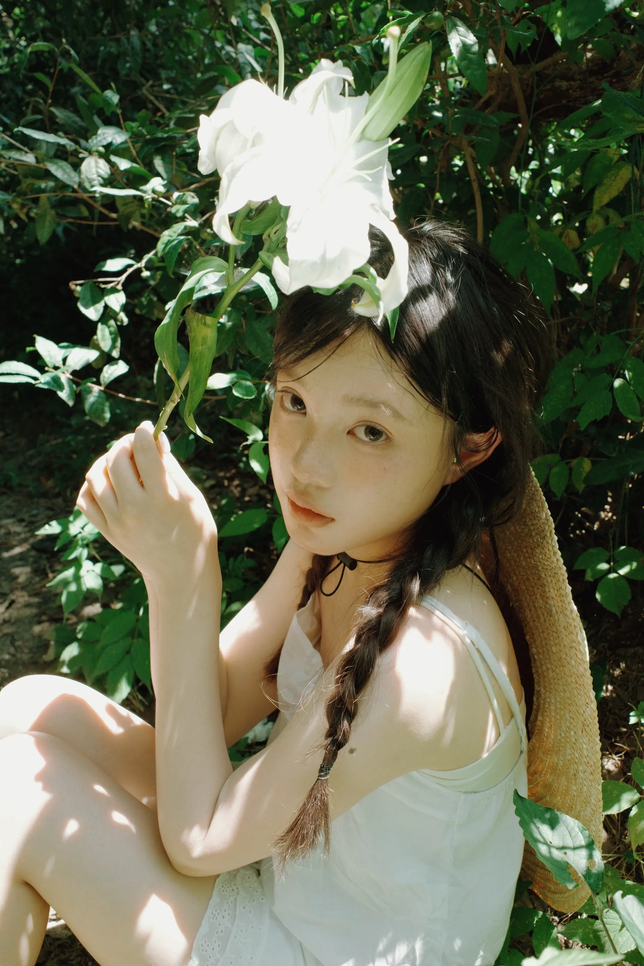 澄净森林。
