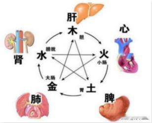 一说起阴囊潮湿男性朋友特别烦恼，好多男性朋友清热的药没少吃，效果也不太理想，总是