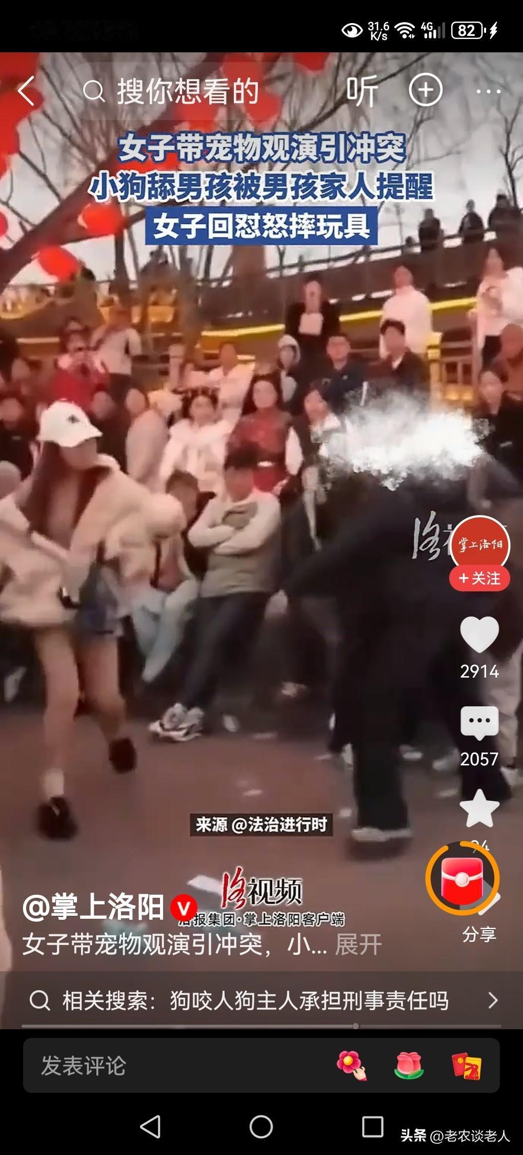 女子带宠物狗观看演出，引冲突怒摔男孩玩具！
带宠物狗去参加社会活动的时候，既要约