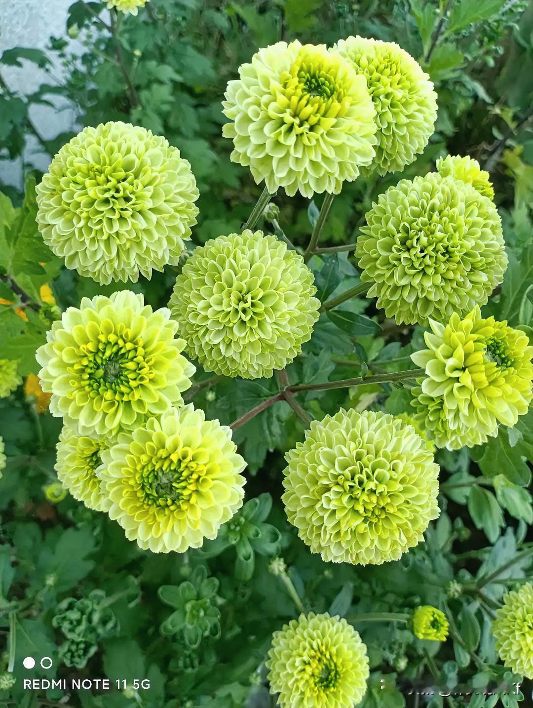 上联：锦上添花易
下联：雪中送炭难