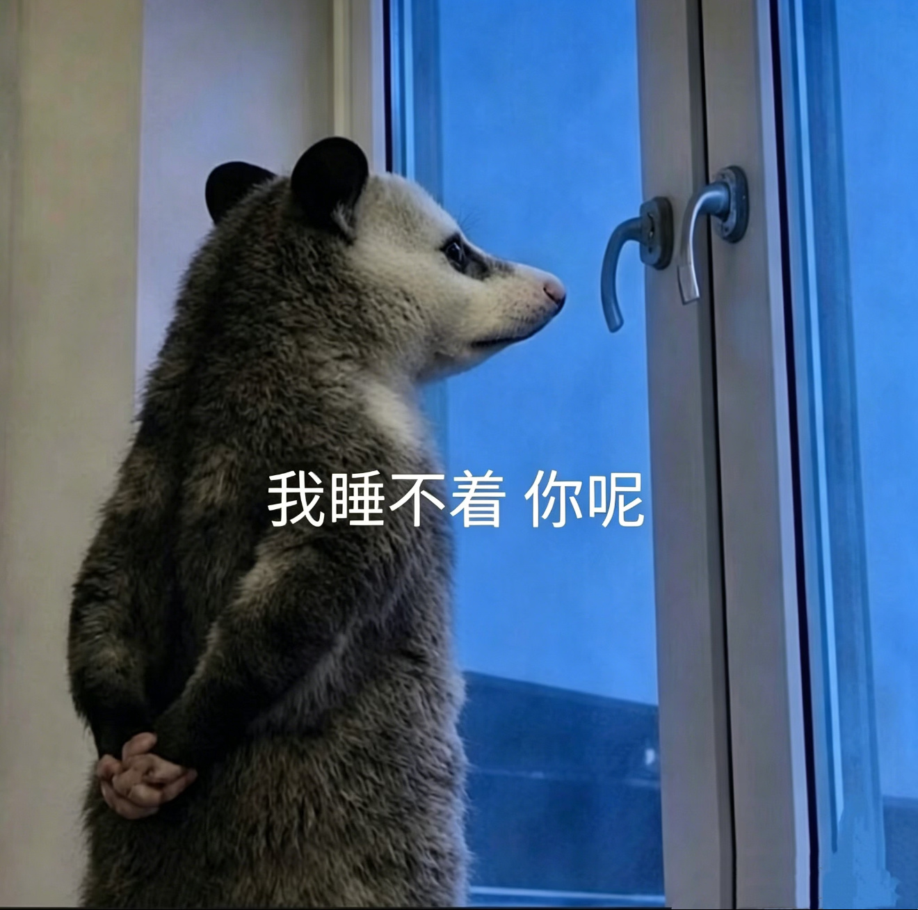 分享图片 
