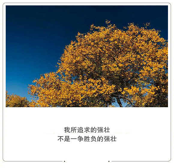 对错是别人的人生是自己的如果事与愿违就相信上帝一定另有安排