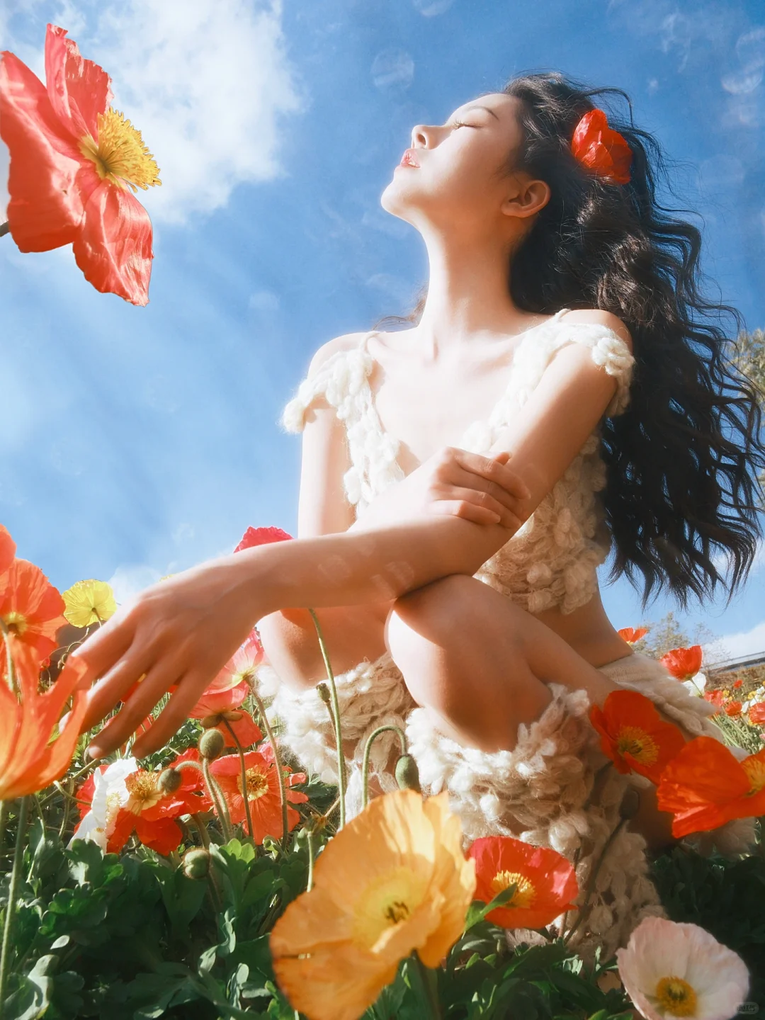 “我镜头下的莫奈虞美人”