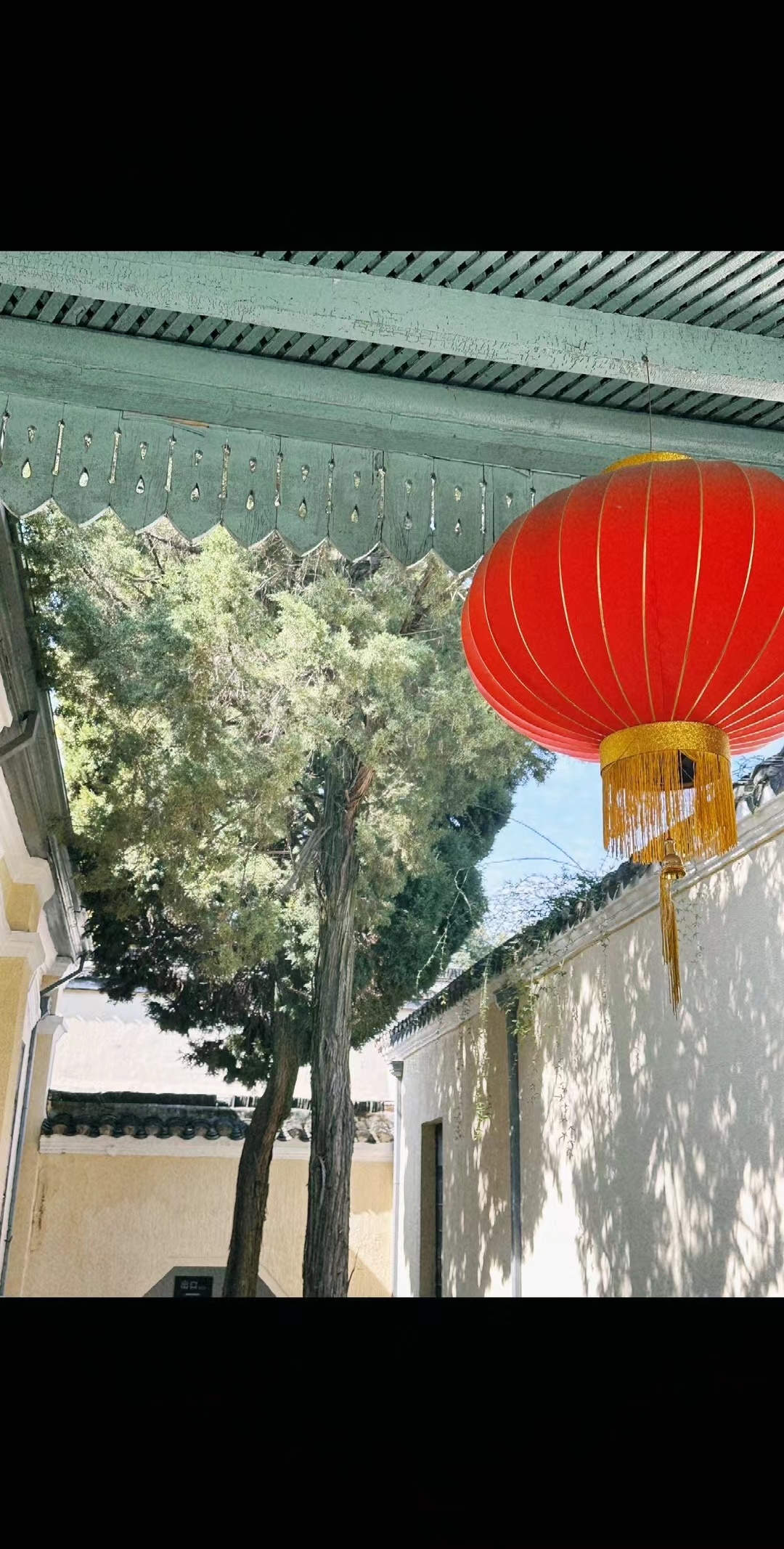 来点不一样的风格！辞旧迎新 准备开工[喵喵] ​​​