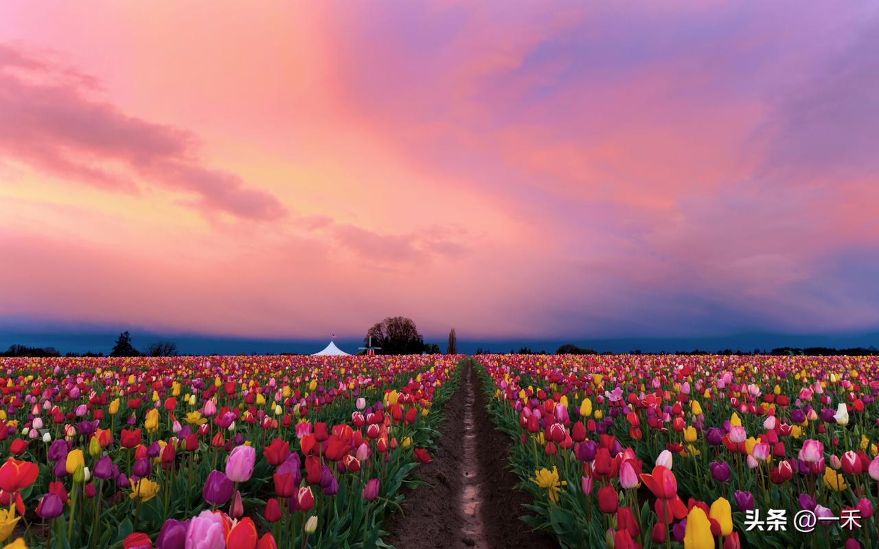 春日养生游火了！4大类疗愈路线，跟着自然去放松
 
春天万物生发，正是出门养生旅