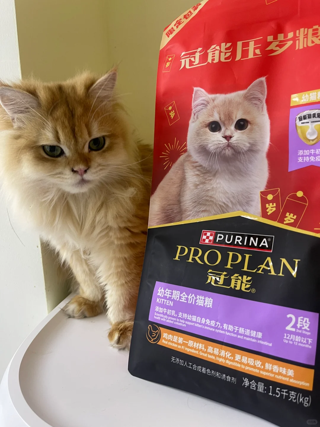 还得是冠能！玻璃胃换粮大成功！