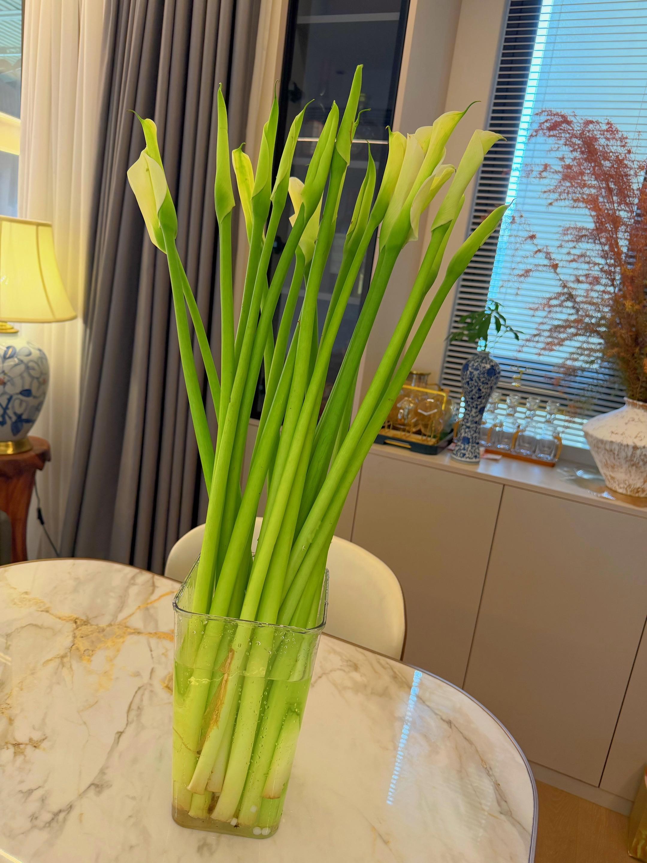 这是属于我的，最安稳的时光。