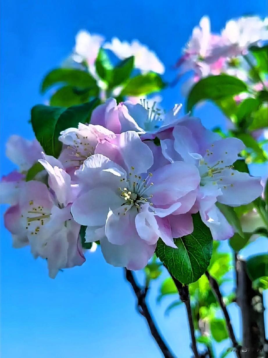 有没有人跟我一样，明明知道不紧张就不容易生病，可就是控制不住自己？
我太懂这种感