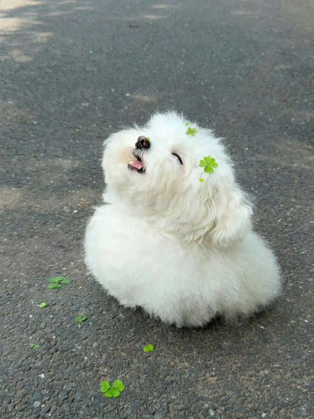 抽中现金奖来泡泡炫耀的李炤熙be like： 