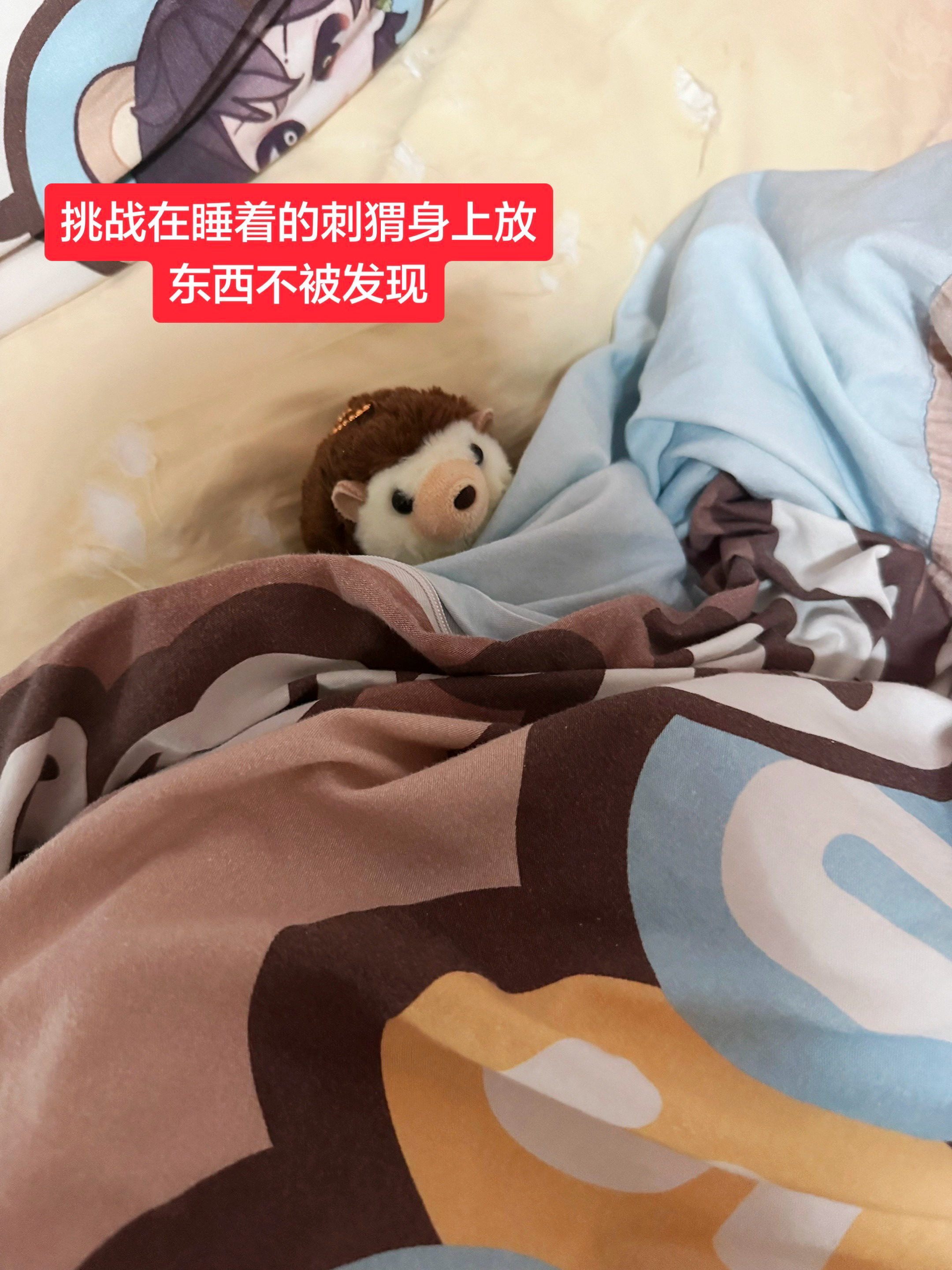 分享图片 