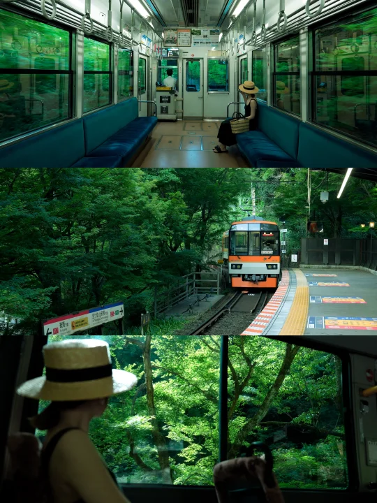 京都｜反复爱上这无尽夏🍃5天4晚行程攻略❗️