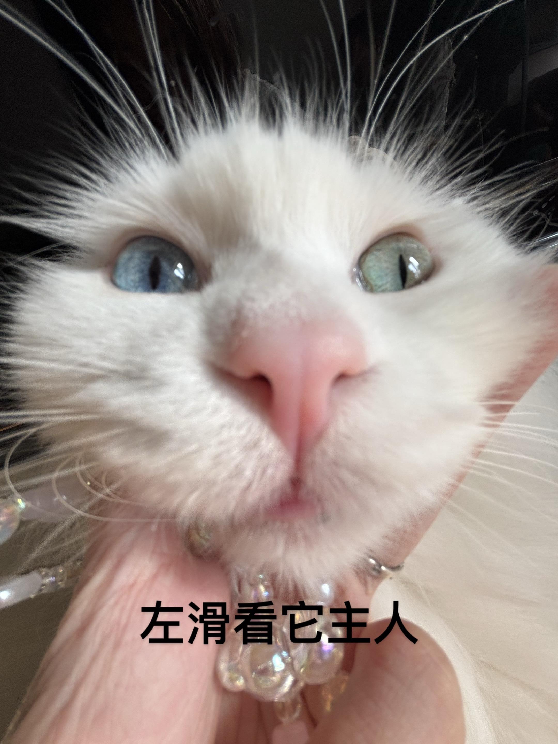 逆子只会扒我大腿^^