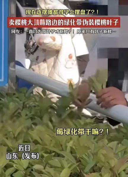 救命！山东樱桃大叔的“骚操作”把网友笑不活了！
 
家人们谁懂啊！山东一位卖樱桃