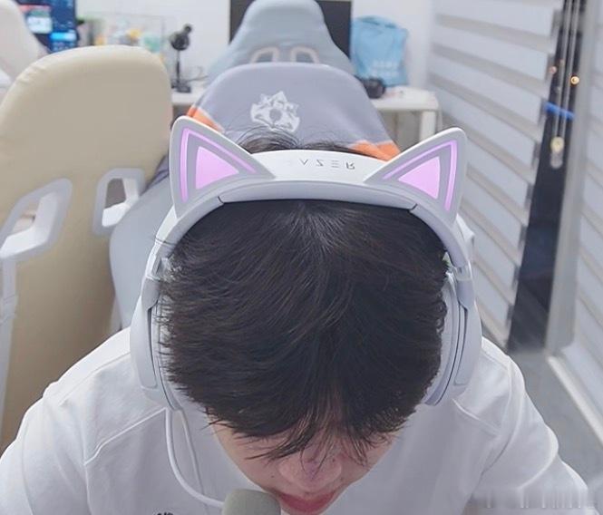 猪头