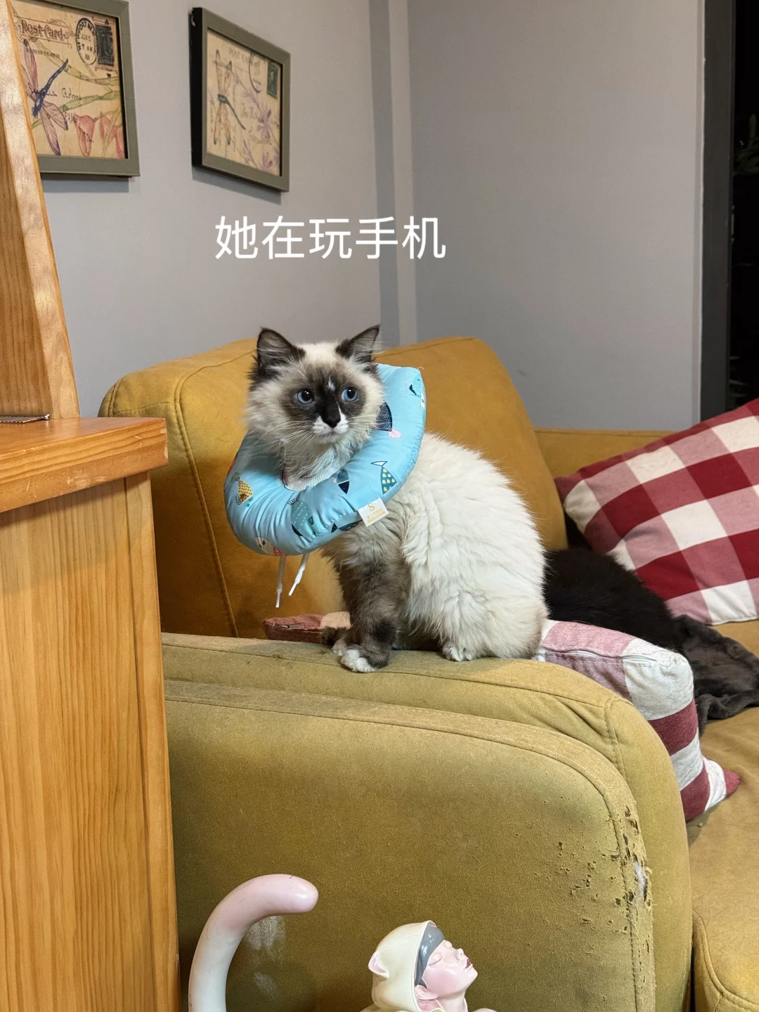 孩子长大了，有想法了！