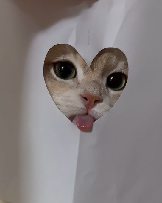 👅 