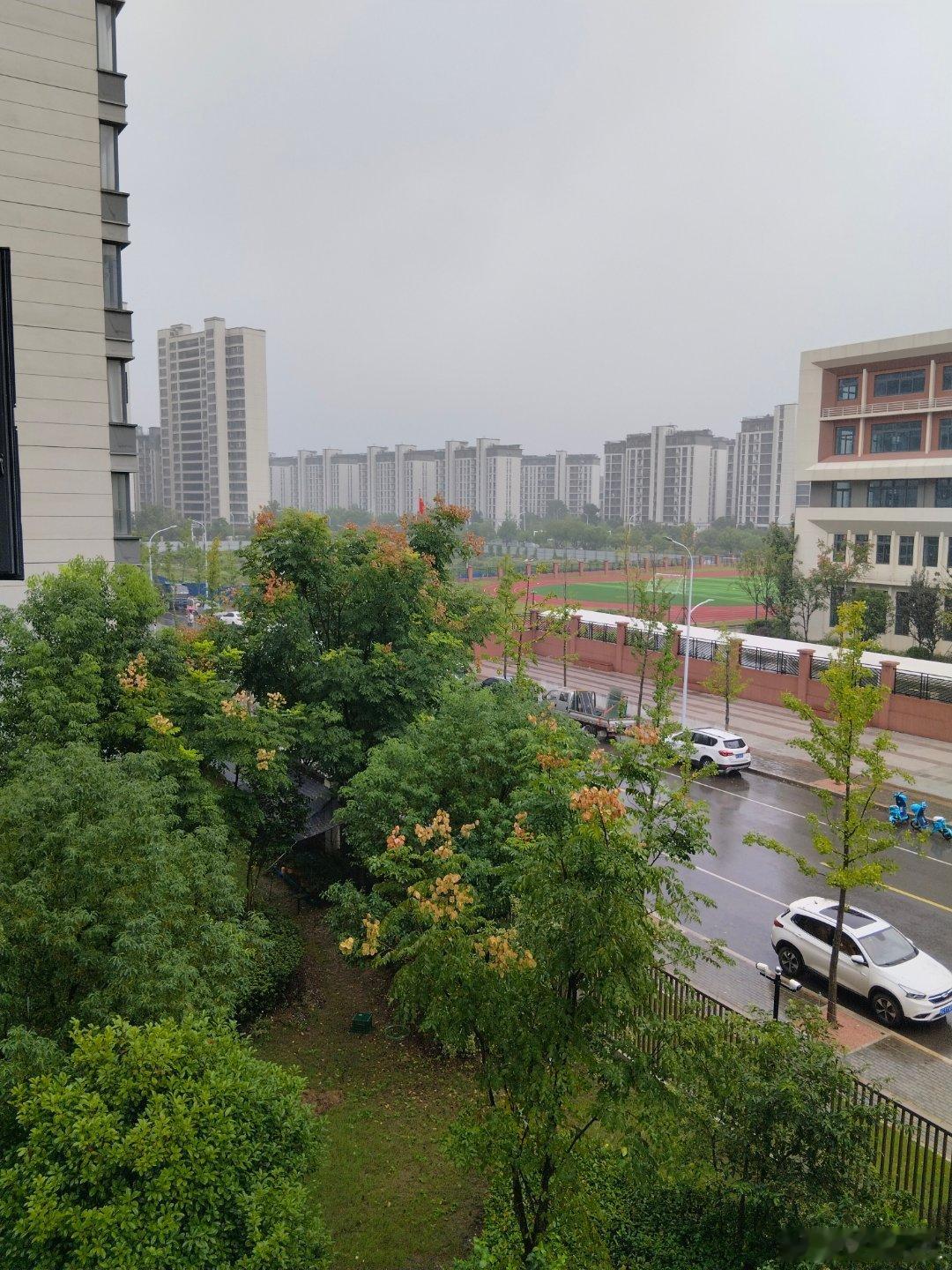 又是一个阴雨绵绵的天气，多少天都没有见到太阳了，农民伯伯家的玉米怎么办啊？又要坏
