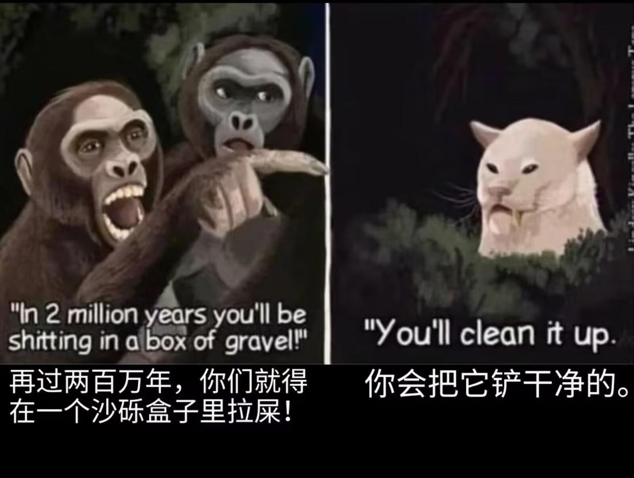 可以和好吗
