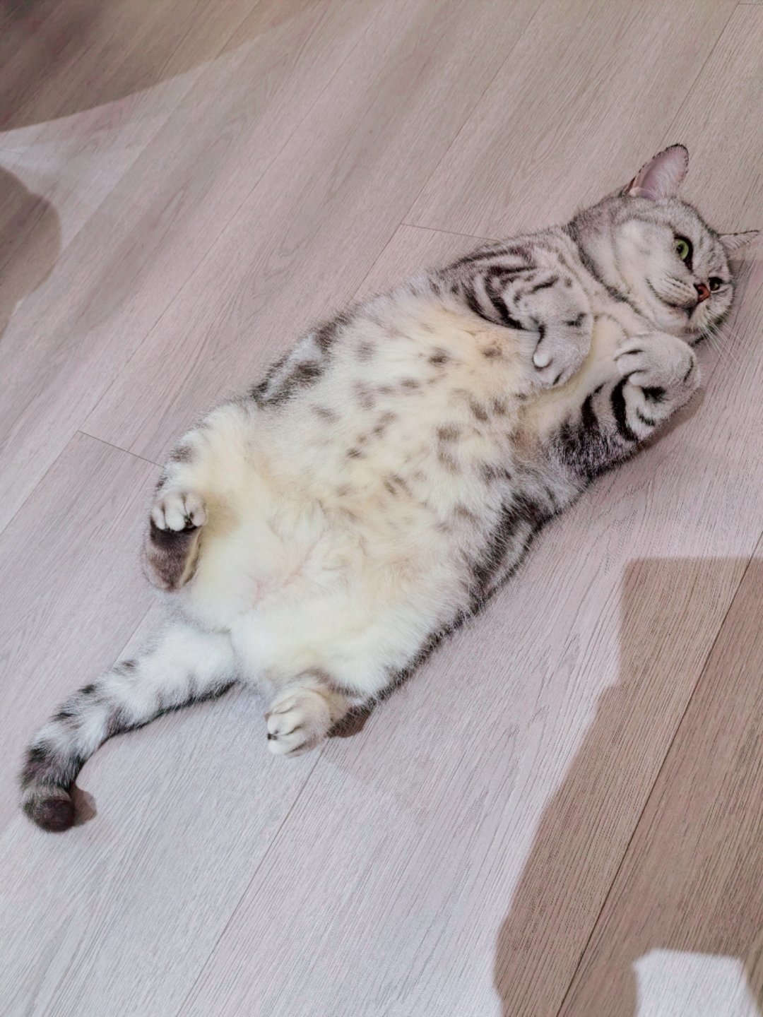 生活手记 姐姐摆出这个姿势，就是在说:呔！来撸~ 
