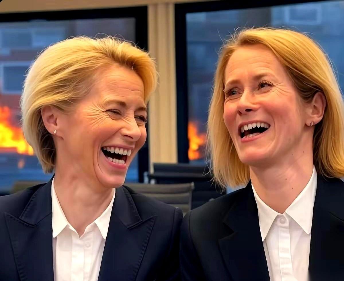 好家伙，欧盟这出戏，比咱们公司年会还精彩。
新外长想调个猛人回总部，结果被一把手