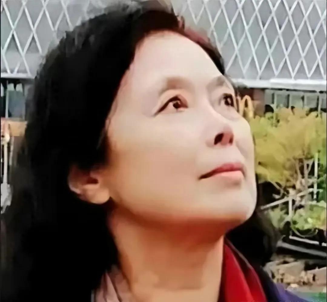 “澳洲汽油可炒菜 ，中国汽油没法比！”这是华裔“作家”李隽公开发表的一段话，而且