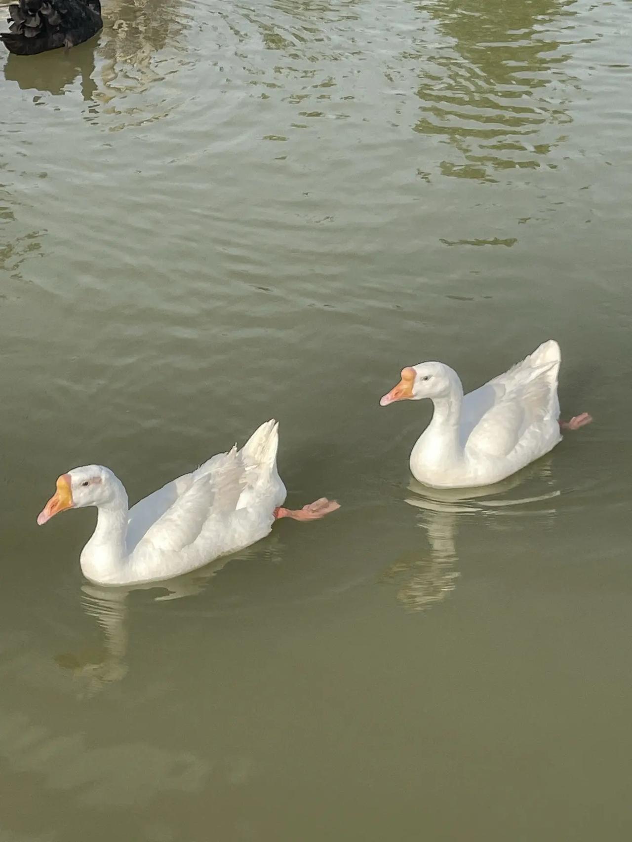 一点点哲学 古希腊哲学家爱比克泰德曾说：“使我们痛苦的，往往不是事物本身，而是我