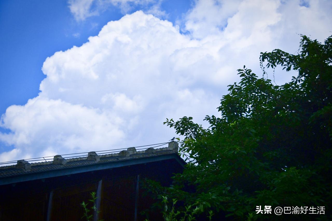重庆今天天空直接封神！满眼蓝天白云随手拍都是大片，好看是真好看，热也是实打实的烤