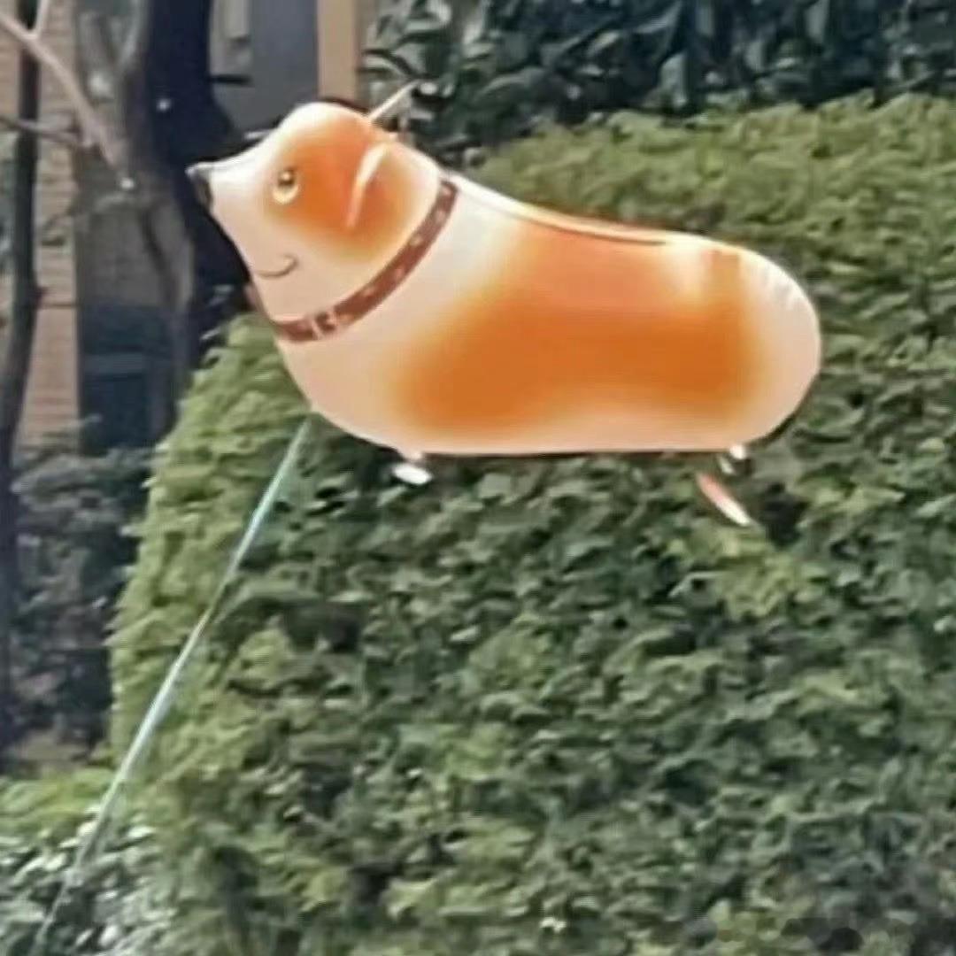 𝙒𝙚𝘾𝙝𝙖𝙩头像｜小众情头｜审美积累｜趣味头像 