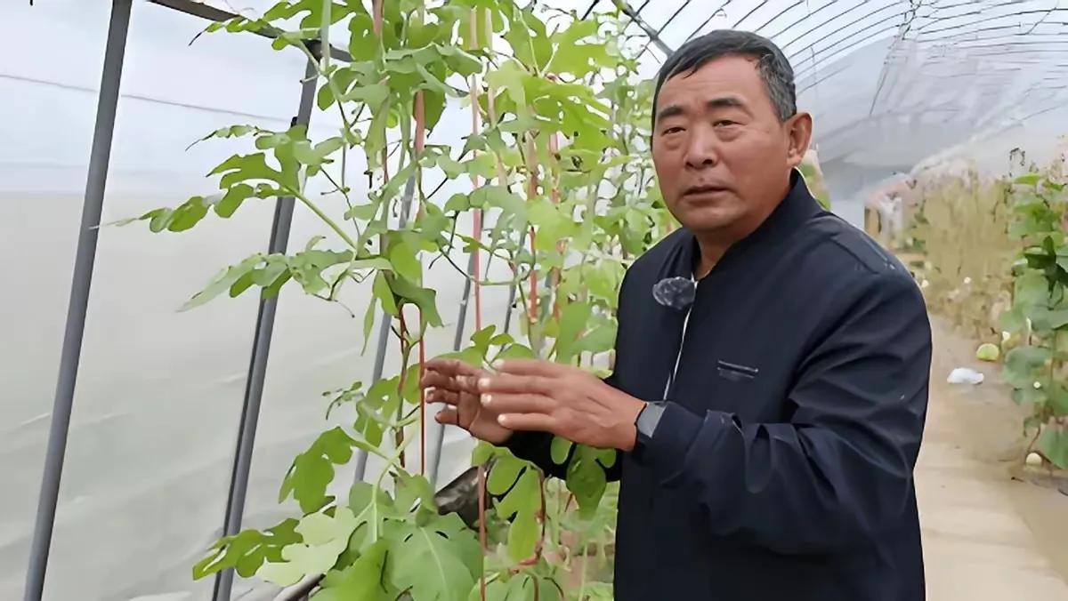 一位没上过大学，连高中都没毕业的黑龙江农民，拒绝300万美元的挖角，攻克了让美国