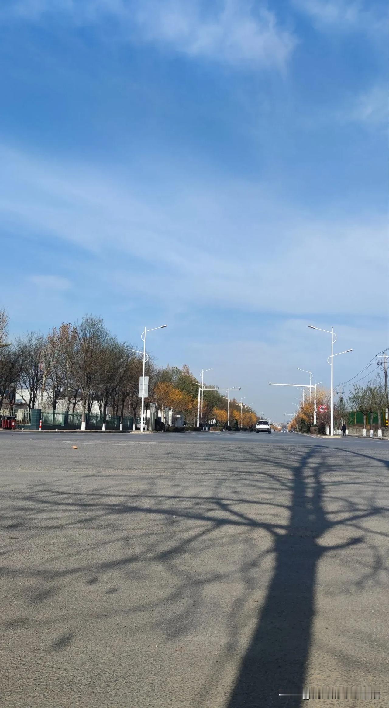 郊外，街道空荡荡的中午，树木也空旷了许多，不知走过多少次的路，走过的是季节的印痕