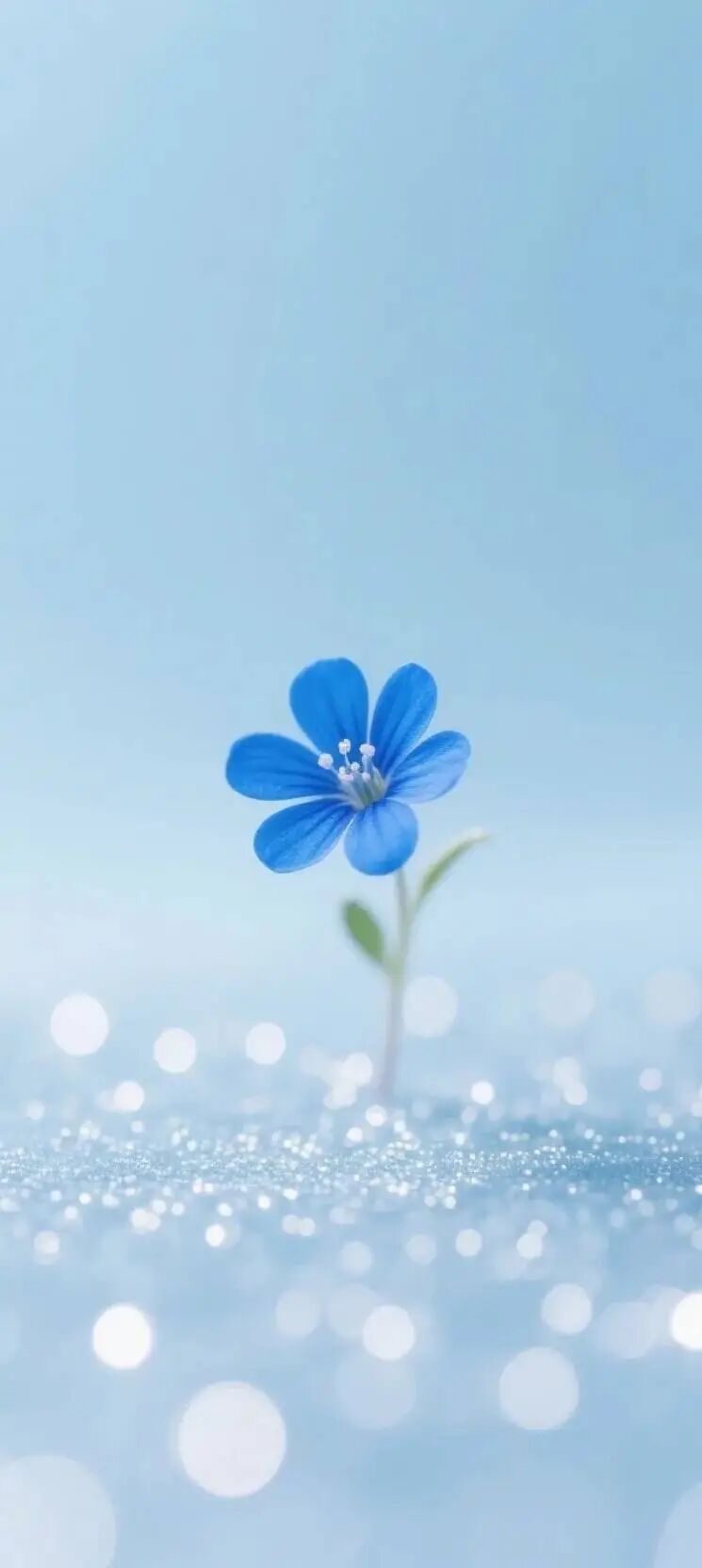阳光信用    🌸🌸如果你要选择前方，那就不要再留恋过去的温暖，带上你的倔强