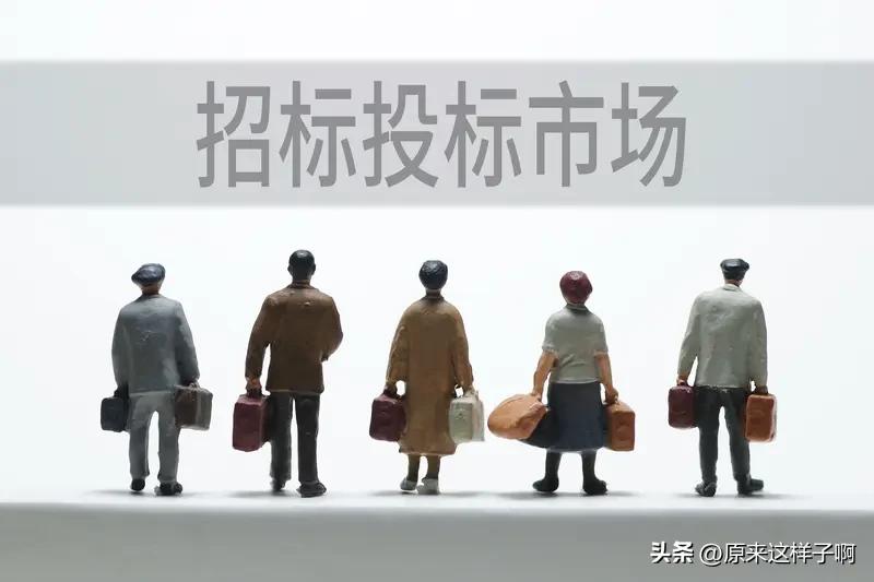 审计与财政核查中，一类异常现象频频出现：项目刚好达到法定投标家数，一家企业提交完