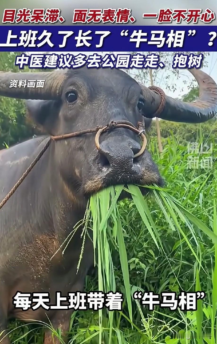 2026年8月20日底部放倍量上涨前10
 
1. 南京商旅——日倍量5.13，