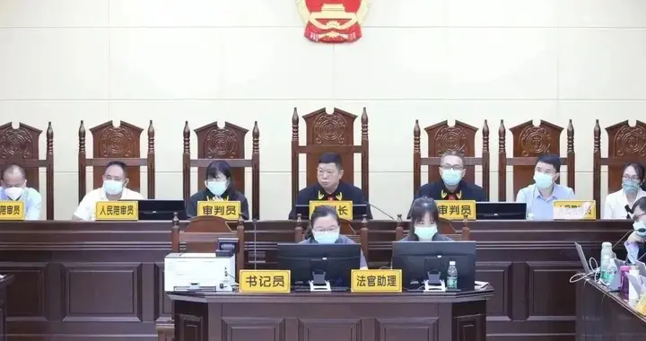 涉嫌30余起犯罪！海南41人涉黑案开庭