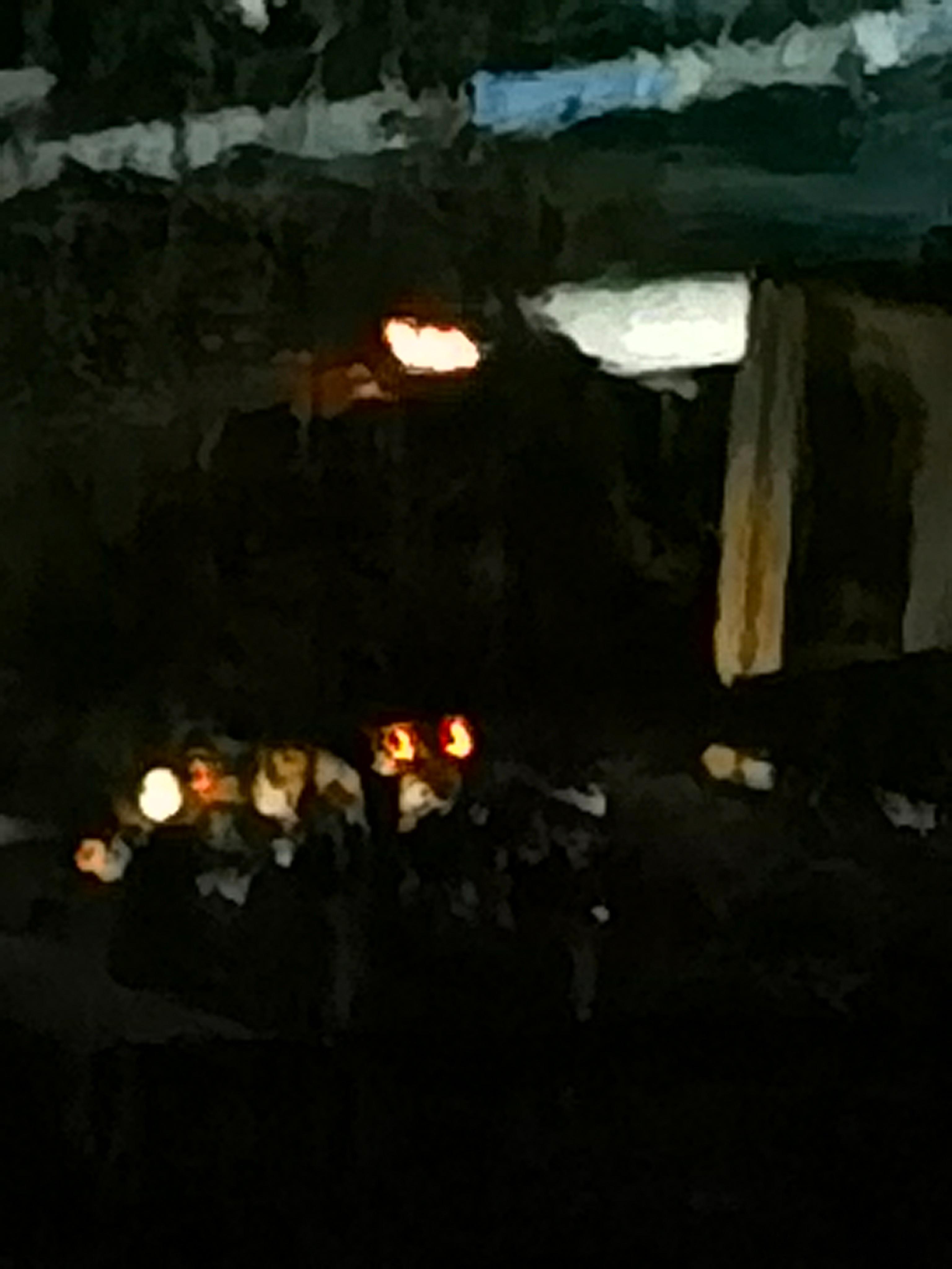 大半夜黑着灯抓拍路人