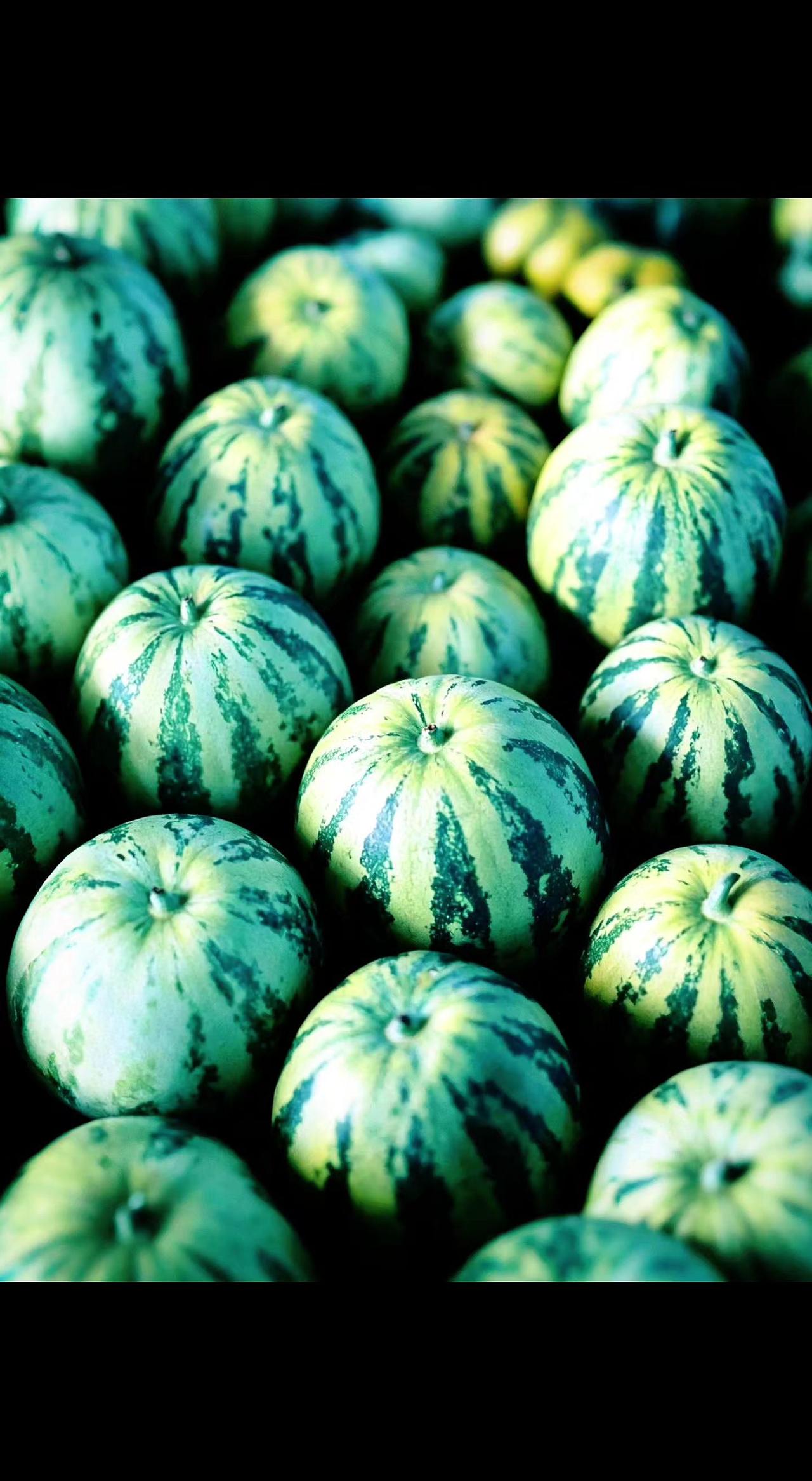 🍉夏日把清甜织成绿衣裳，颗颗都是阳光的小秘密✨ 藏在纹路里的脆爽，咬开就撞见整