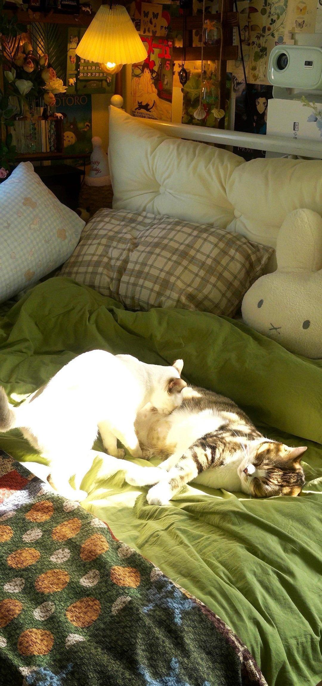 与自己共勉 走更远的路
𝐒𝐡𝐚𝐫𝐞手机壁纸丨𝐢𝐧𝐬高质量背景图