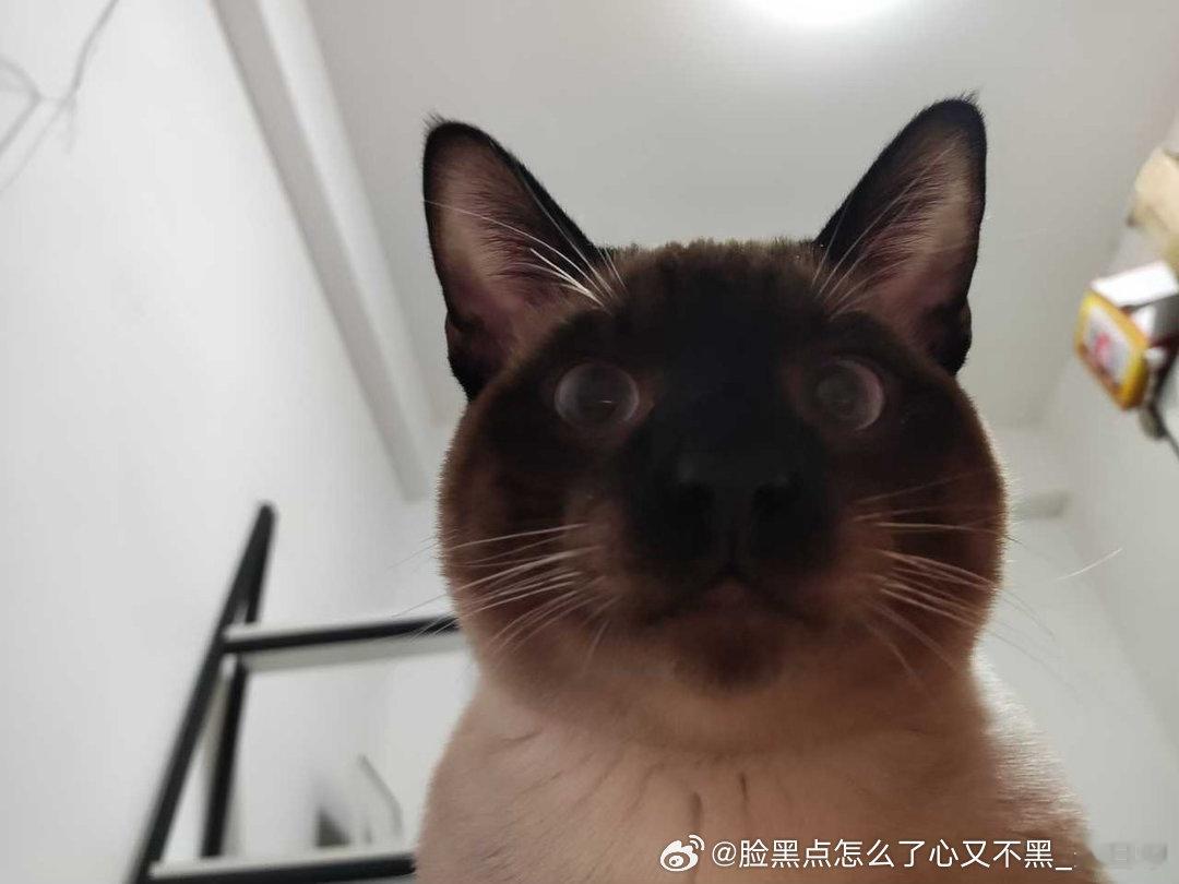 4153只黑脸测包你就发这个什么都不说 ​​​