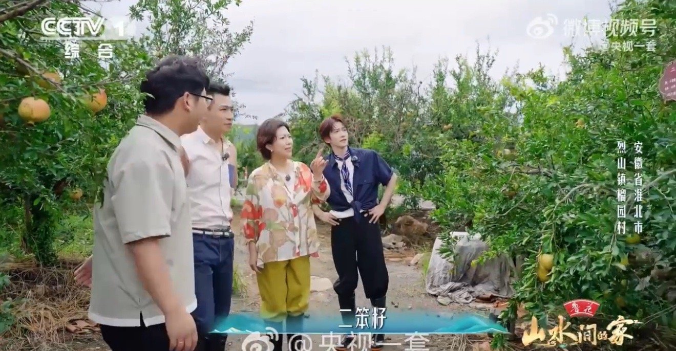 这个村石头缝里种出几十种石榴 岩石上种石榴，种出个“国家地理标志”！安徽榴园村的