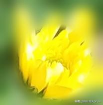 大冬天穿拖鞋的八岁女孩，流浪捡食。视频曝光后才纳入低保：我们的救助为何总慢一拍？