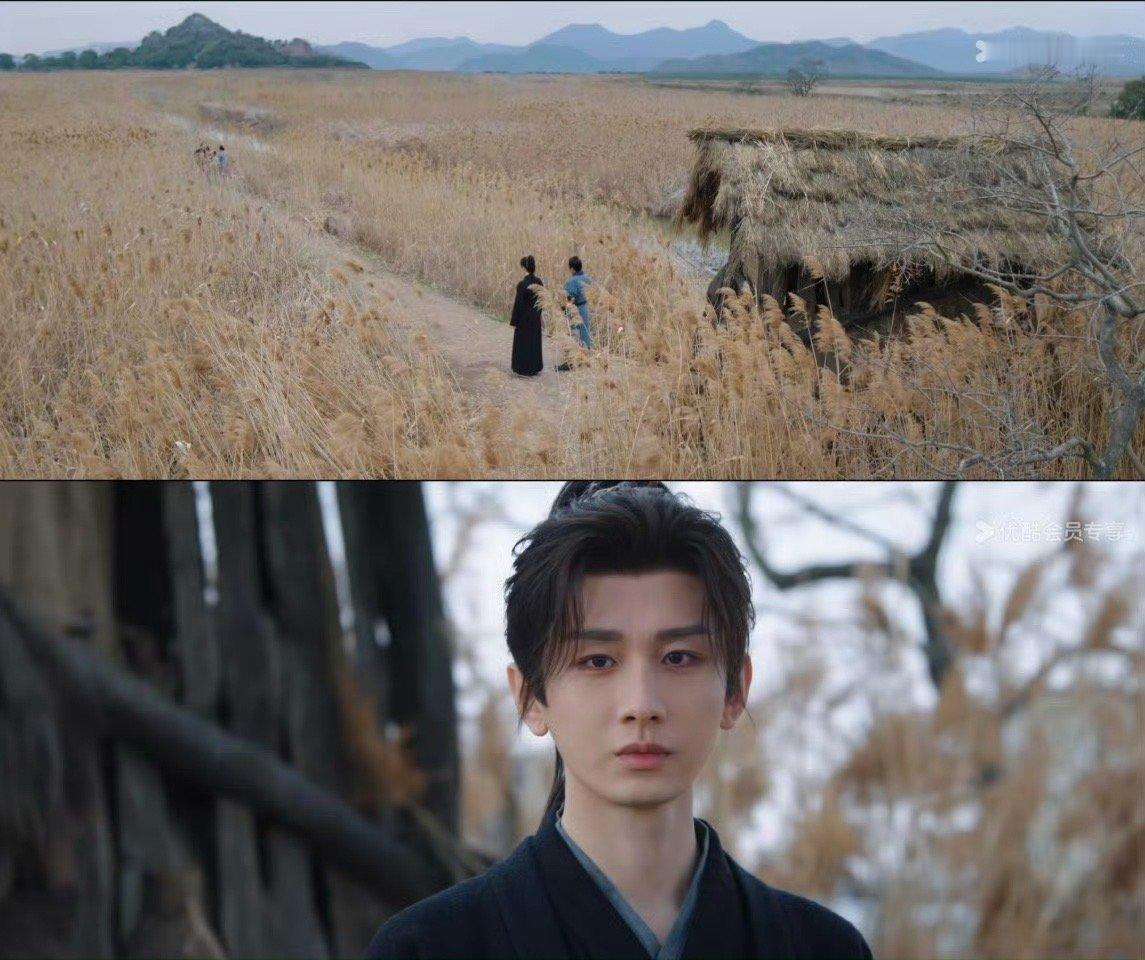 内娱编剧今天又下狠手了咱就是说长安二十四计的编剧你出来一下！我找你有点事啊！！白