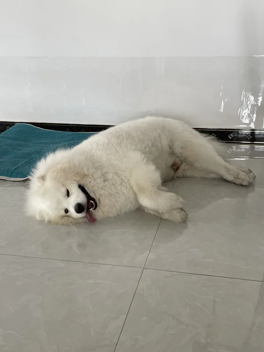 姨姨们，看我是不是标准的圆柱体