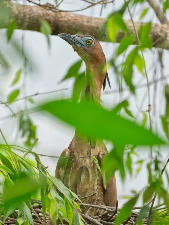 侧脸一般 正脸绝了👍