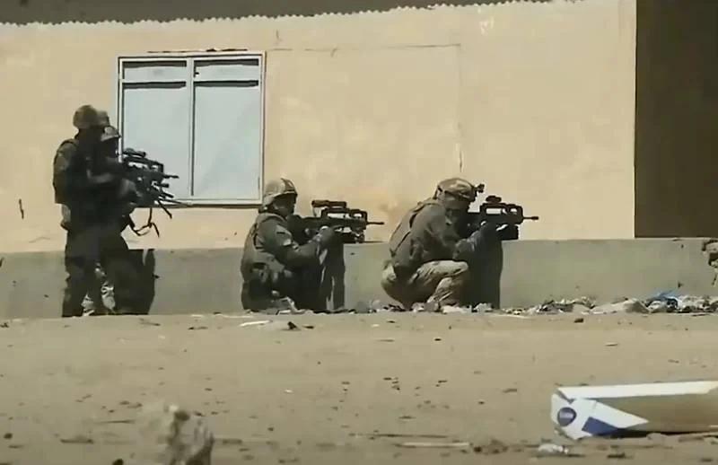 法国专家：法国军队从尼日尔撤军是西方势力退却的信号 西方分析人士在评估乌克兰局势